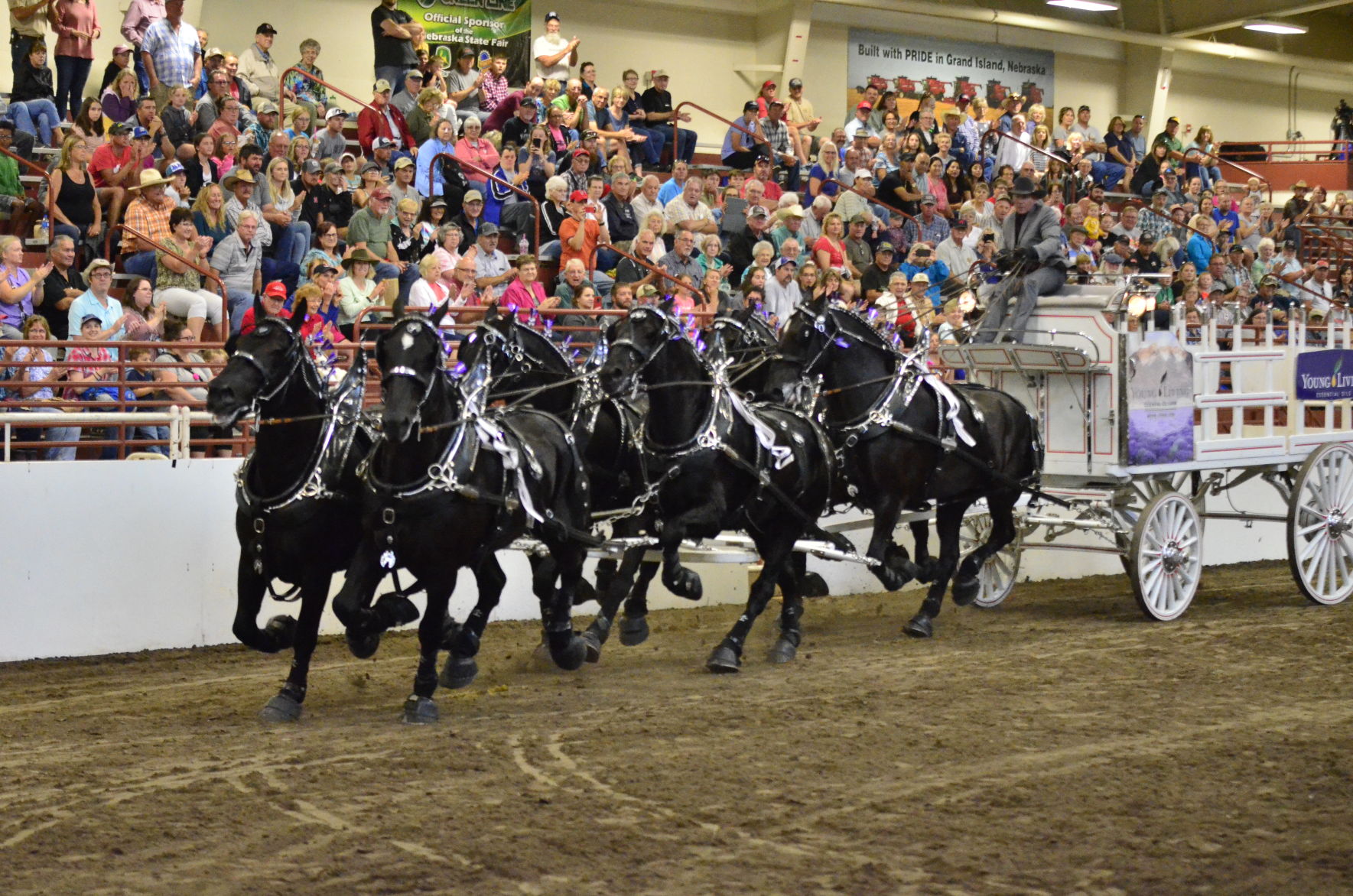 8-25-19 Draft Horse Hitch Final (90).JPG